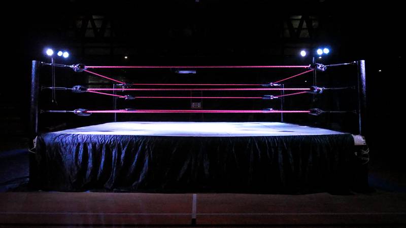 Wrestling ring