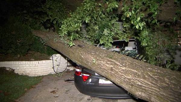 Large tree crushed vehicle ahead of severe storms in southwest Atlanta
