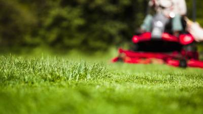 No matter a drought or flooding rain, here are tips to keep the lawn green this summer