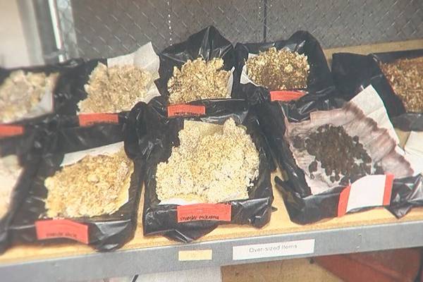 Police seize nearly 60 lbs. of psychedelic mushrooms from rental home in quiet metro neighborhood