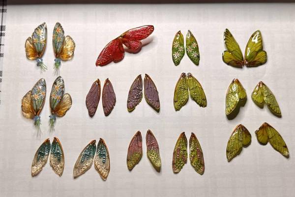Georgia woman finds inspiration with cicadas, makes jewelry out of their wings
