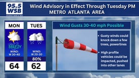 Wind Advisory in effect, wind gusts as high as 30 to 40 mph possible