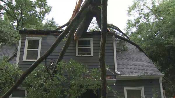 Trees down, major power outages across metro Atlanta after Saturday storms, heat watch Sunday