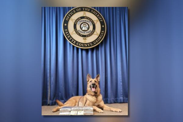 K-9 sniffs out $700K worth of cocaine during traffic stop in Fayette County