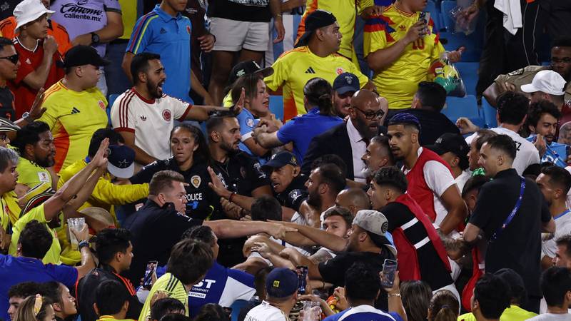 Soccer fans, players fight in the stands