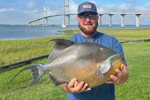 Man reels in “whopper” 9-pound fish off Georgia coast, setting new state record