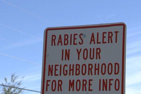 Fayette County Animal Control warns public of rabies case in Peachtree City