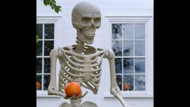 Meet the Georgia Tech grad behind viral 12-foot-tall Halloween skeleton