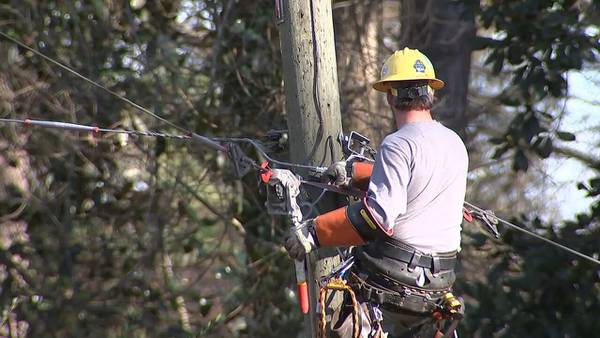 Massive tree takes out power lines in Sandy Springs