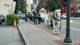 Atlanta split on future of horse carriages in city, as new legislation awaits