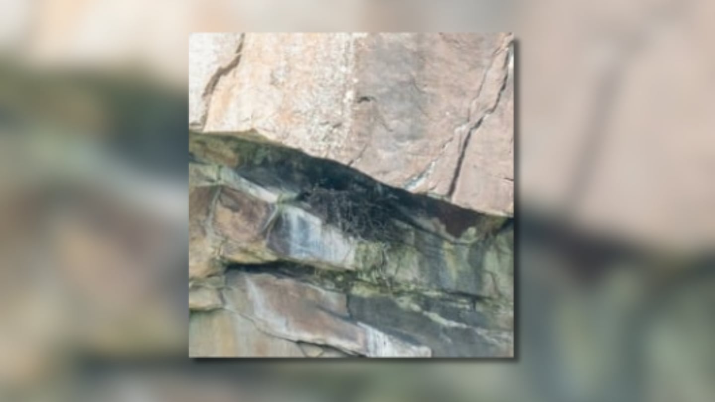 Rare raven nest, baby bird sighting at Georgia’s Tallulah Gorge State ...