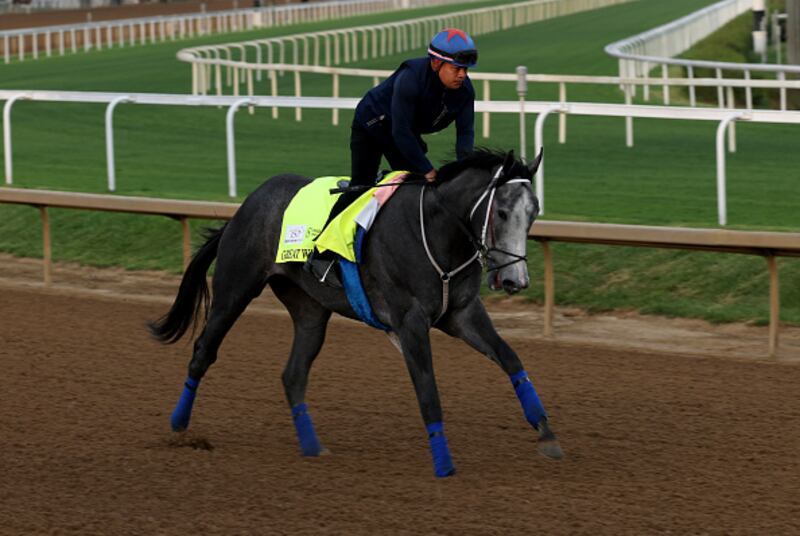 Horses at the Kentucky Derby