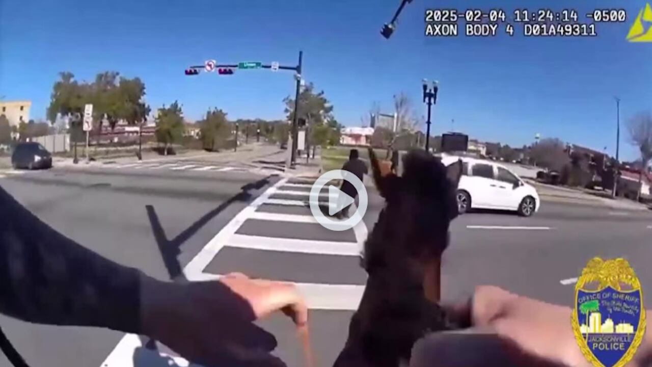 The suspect attempted to outrun the horse -- and failed.