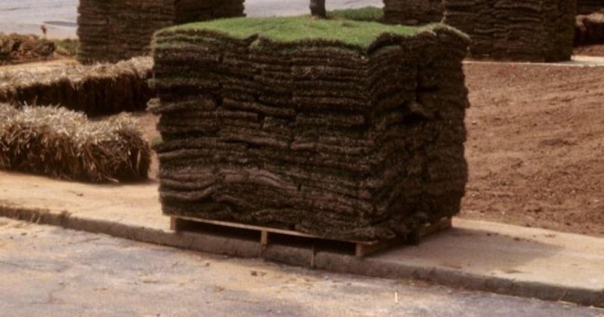 July Turf Tips: Caring for New Sod