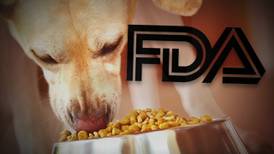 Grain-free dog food linked to heart problems in pets is puzzling situation for FDA
