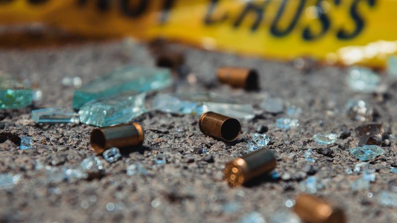 A couple of people were shot and killed at a birthday party in Jacinto City, Texas early Saturday morning.