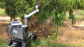 Peach picking robots could be the future for Georgia growers