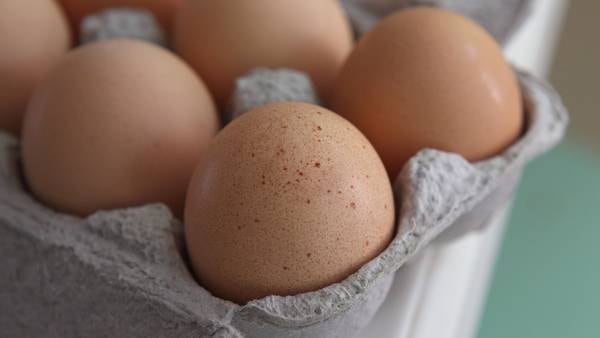 CDC issues egg recall, warns of Salmonella outbreak in multiple states